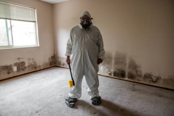 Best Commercial Mold Inspection  in Wallace, FL
